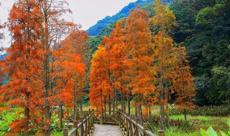 从化石门国家森林公园